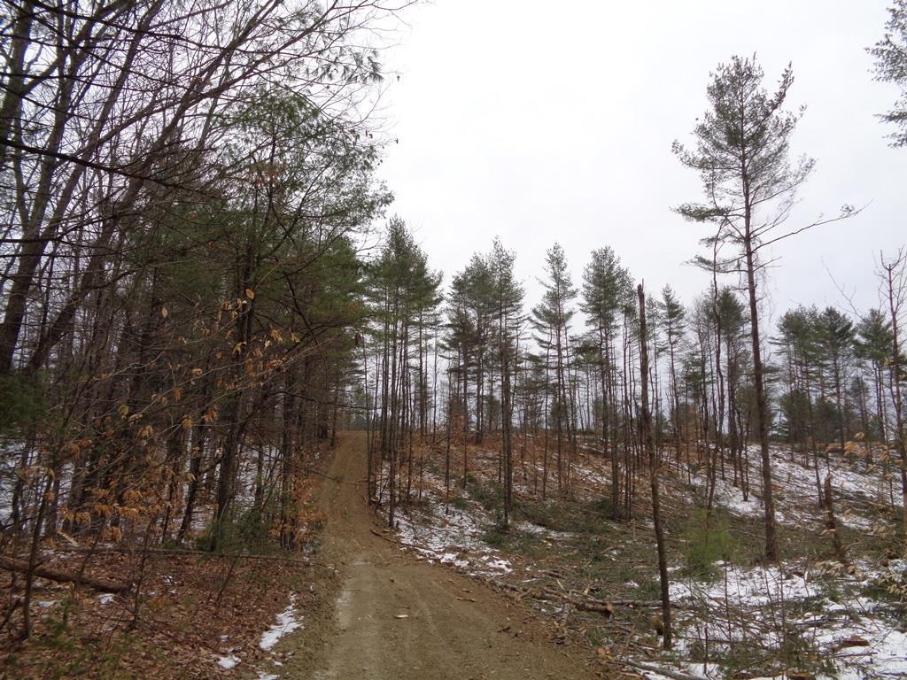 Map 5-lot Map 5-lot Mount Augusta, ME 04330 - Photo 9 of 18 Land/Lot