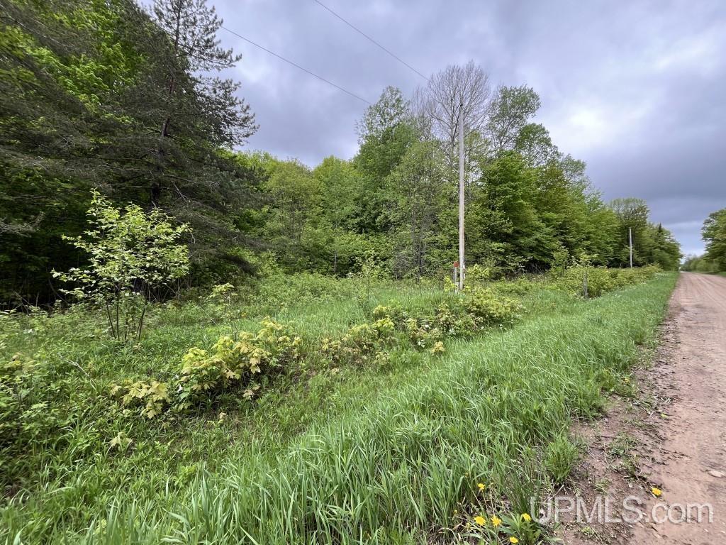 Tbd Tbd 26th Road Chatham, MI 49816 - Photo 4 of 15
