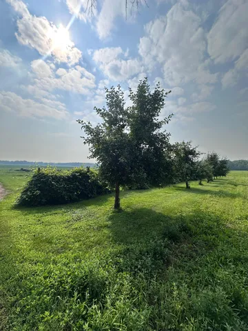 $375,000 | 8393 165th Street, Milaca, MN 56353