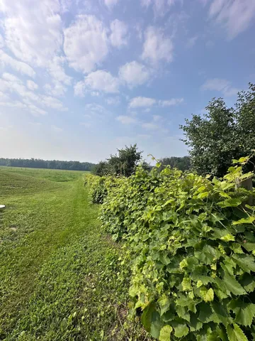 $375,000 | 8393 165th Street, Milaca, MN 56353