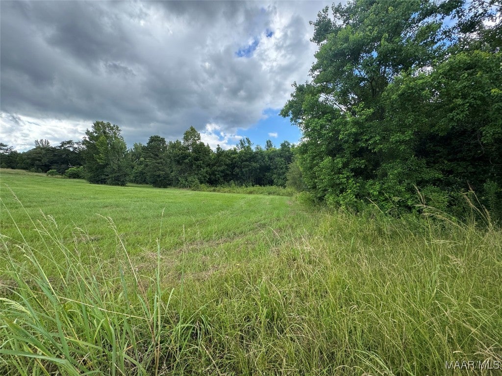 2 White Tail Ridge Deatsville, AL 36022 - Photo 3 of 16 Gallery Image 3