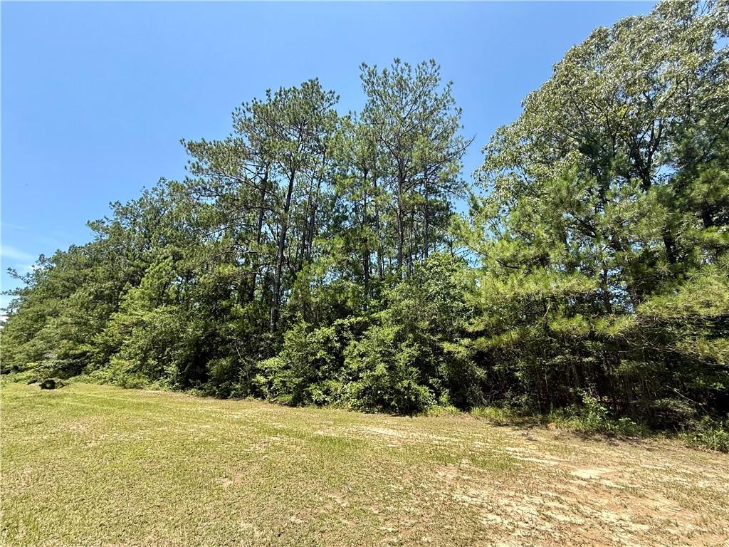 0 Lake Choctaw Road Franklinton, LA 70438 - Photo 4 of 4