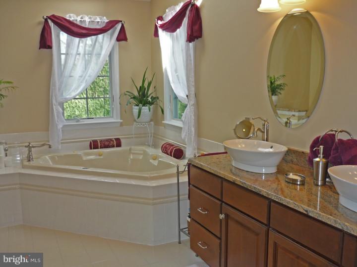 2912 Chisselford Drive Sinking Spring, PA 19608 - Photo 20 of 25 Master Bathroom
