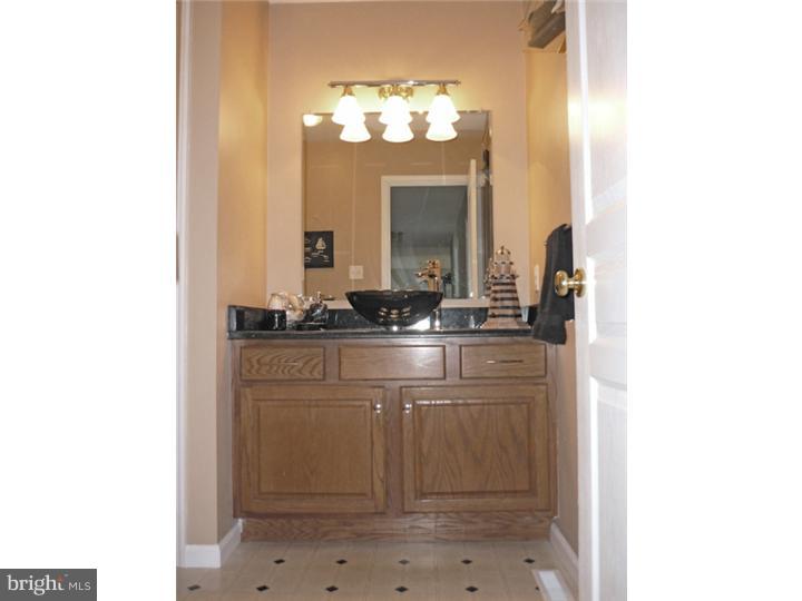 2912 Chisselford Drive Sinking Spring, PA 19608 - Photo 23 of 25 Bathroom