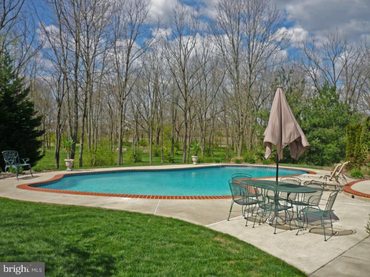2912 Chisselford Drive Sinking Spring, PA 19608 - Photo 7 of 25 Pool