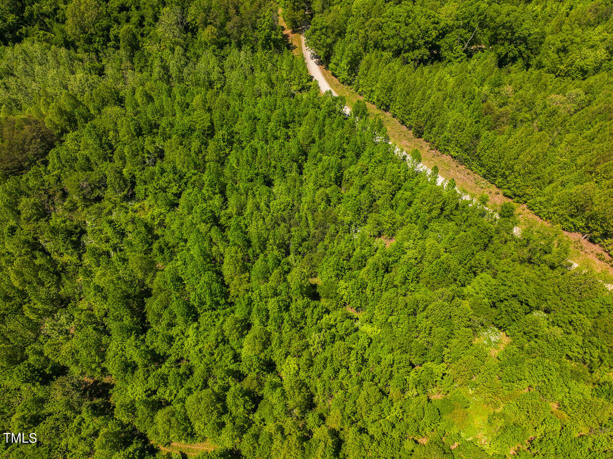 Lot-2-00 Wilson Road Providence, NC 27315 - Photo 39 of 39 Caswell Co. NC -Wilsons Ridge-Lot 2-37