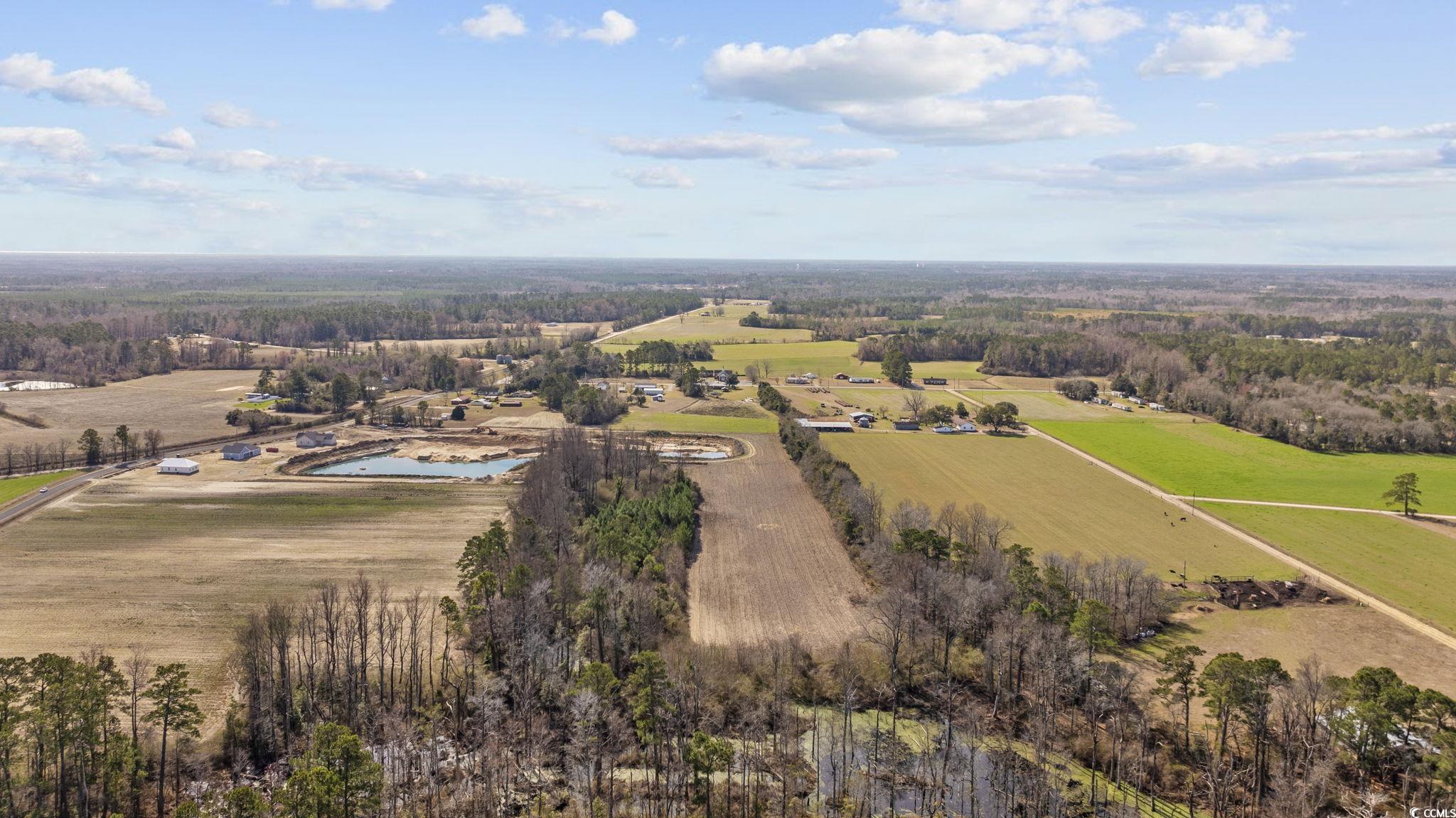 Tbd Gurley Road Loris, SC 29569 - Photo 14 of 22