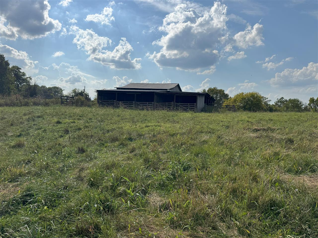 825 Friendship Church Road Scottsville, KY 42164 - Photo 23 of 32 Gallery Image 23