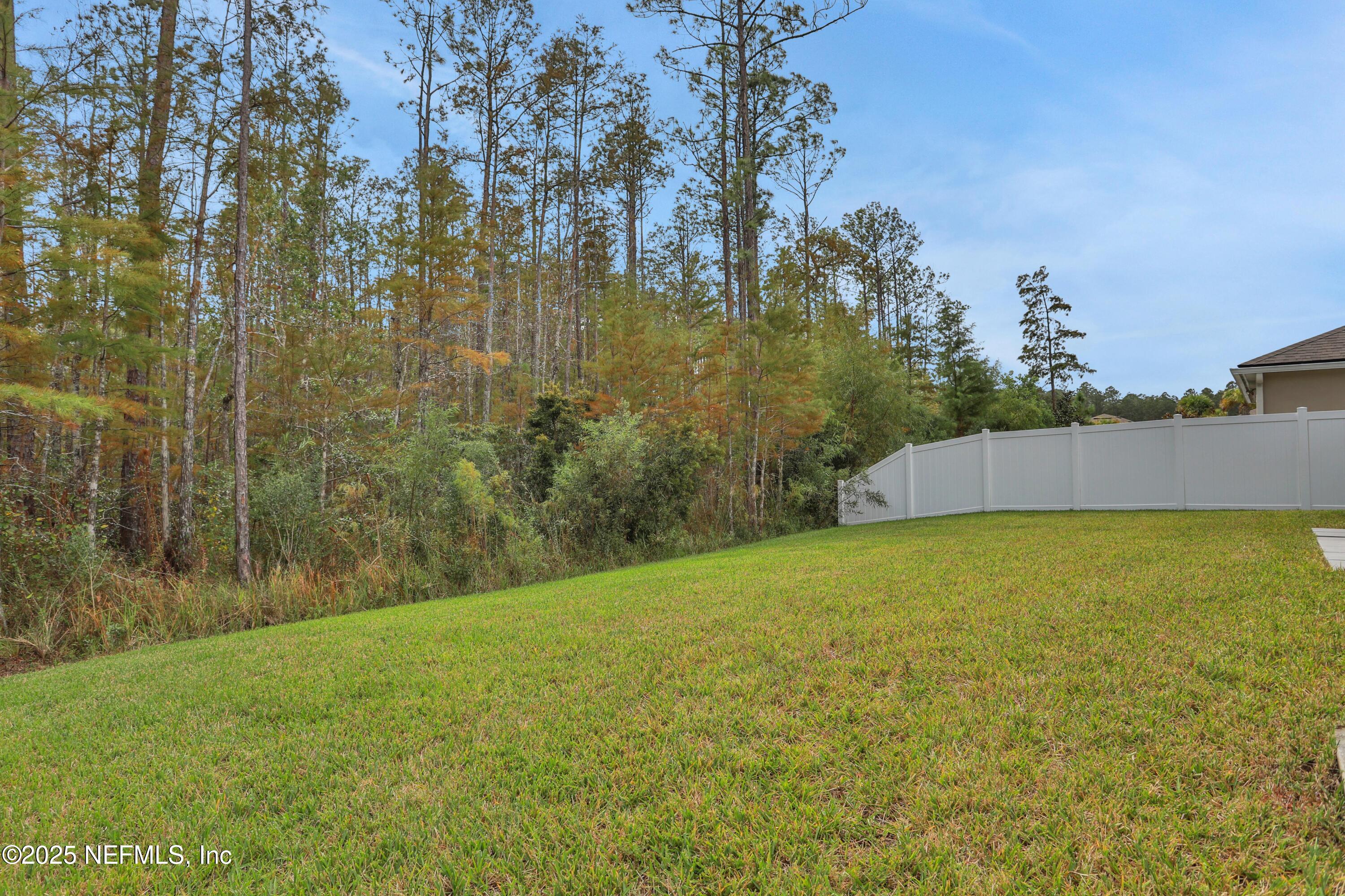84 Cardinal Branch Lane St. Augustine, FL 32095 - Photo 42 of 45 a backyard of a house with lots of green space