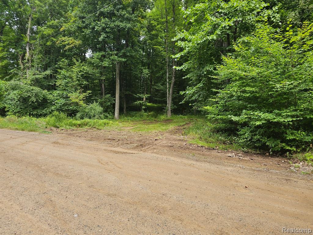 8600 Eagle Road Davisburg, MI 48350 - Photo 7 of 8