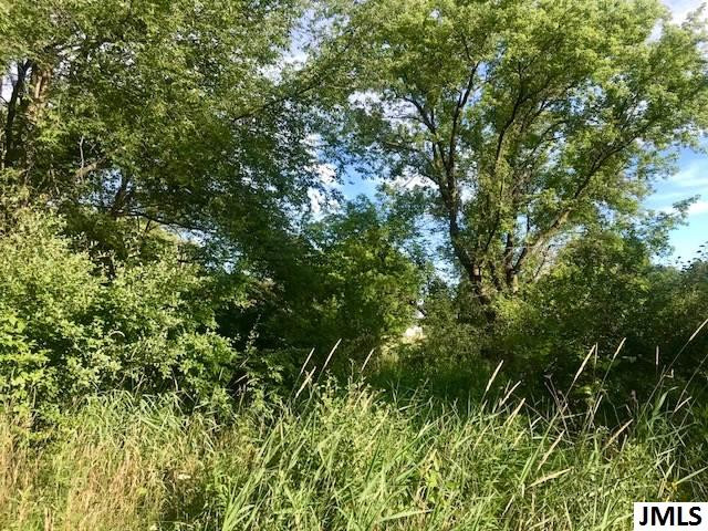 0 North Dettman Road Jackson, MI 49202 - Photo 5 of 11 Photo 5