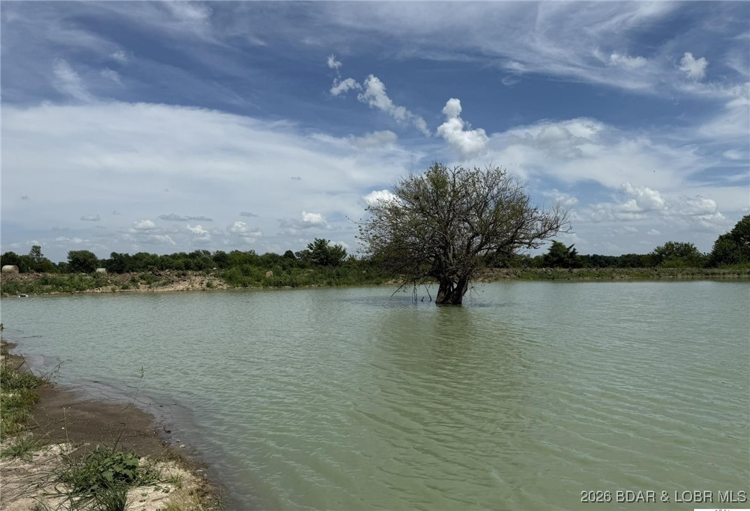 809 Southwest 300th Road Centerview, MO 64019 - Photo 27 of 43