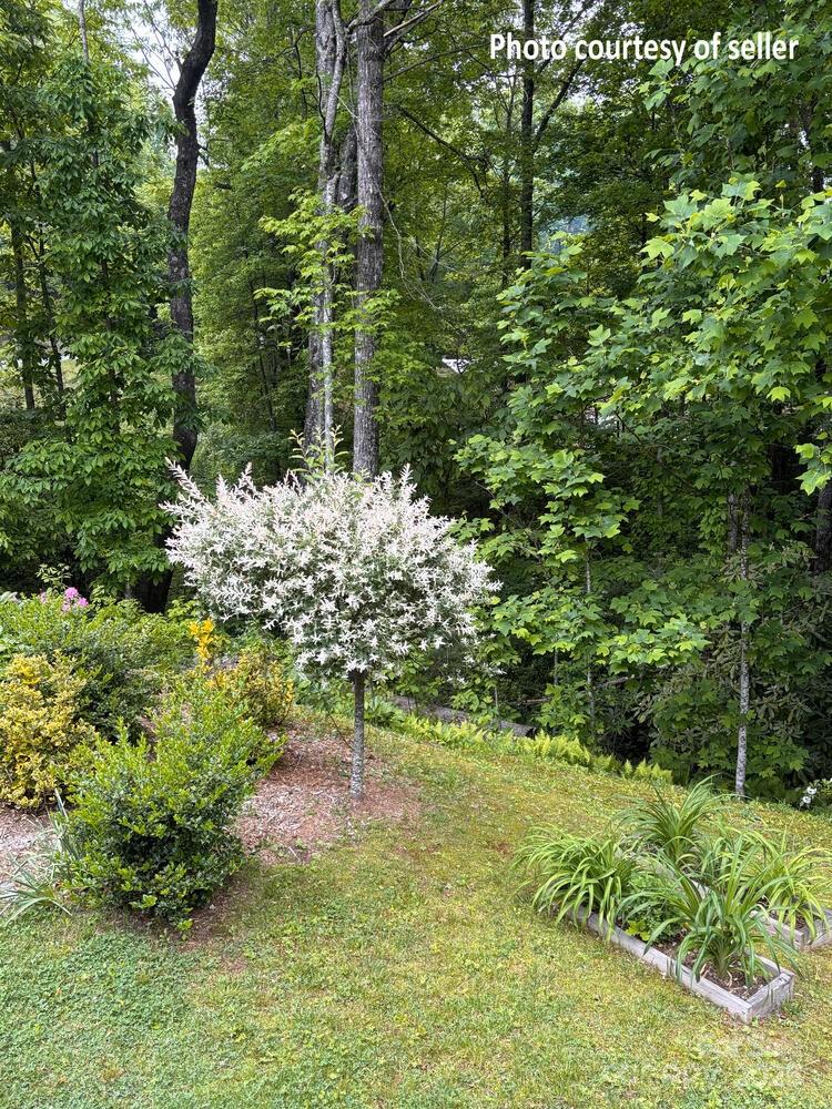 20 Howell Road Rosman, NC 28772 - Photo 37 of 47 Gallery Image 37