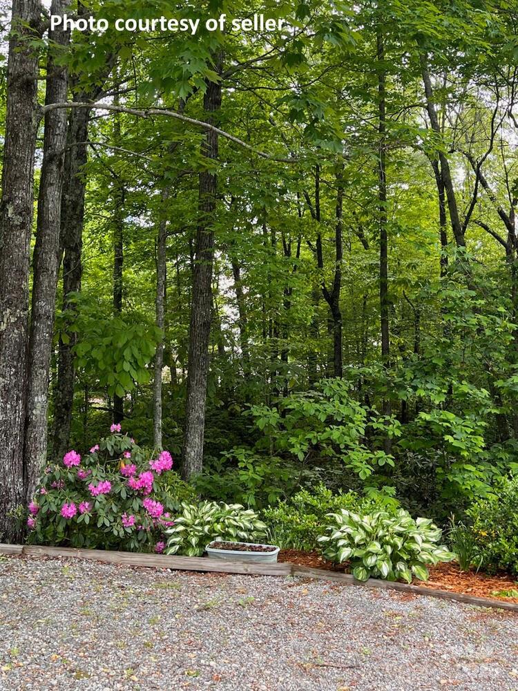 20 Howell Road Rosman, NC 28772 - Photo 41 of 47 Gallery Image 41