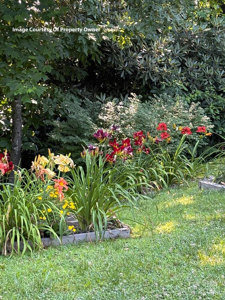 20 Howell Road Rosman, NC 28772 - Photo 45 of 47 Gallery Image 45
