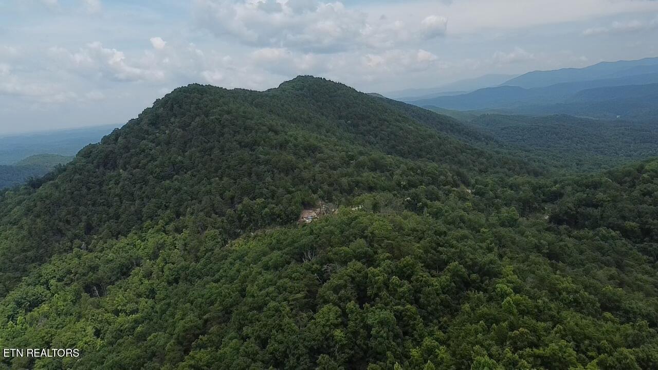 Belltown Road Tellico Plains, TN 37385 - Photo 8 of 15 Belltown 8A
