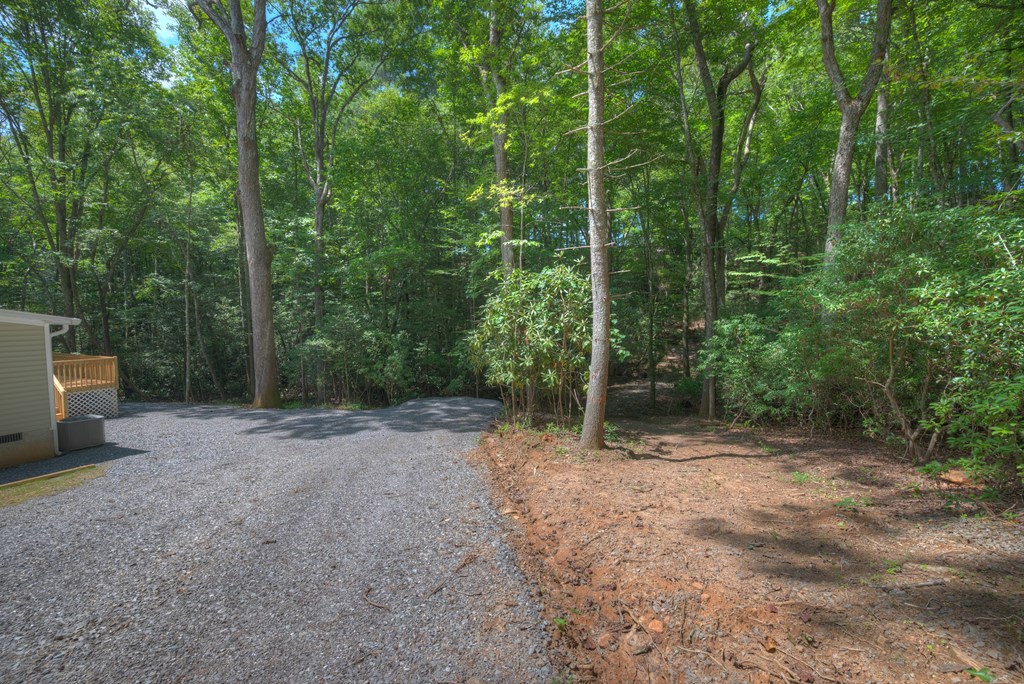 1254 Friendship Church Road Murphy, NC 28906 - Photo 34 of 47