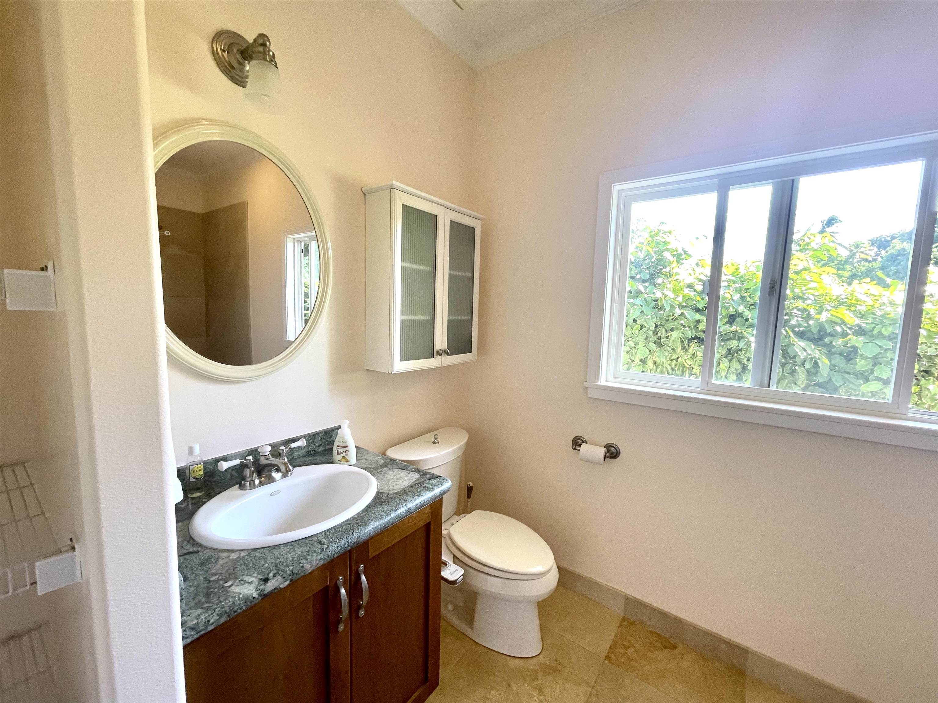 22 Hale Lio Place Haiku, HI 96708 - Photo 19 of 50 a bathroom with a sink and a mirror