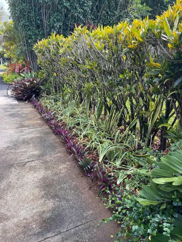 $1,999,808 | 22 Hale Lio Place, Haiku, HI 96708