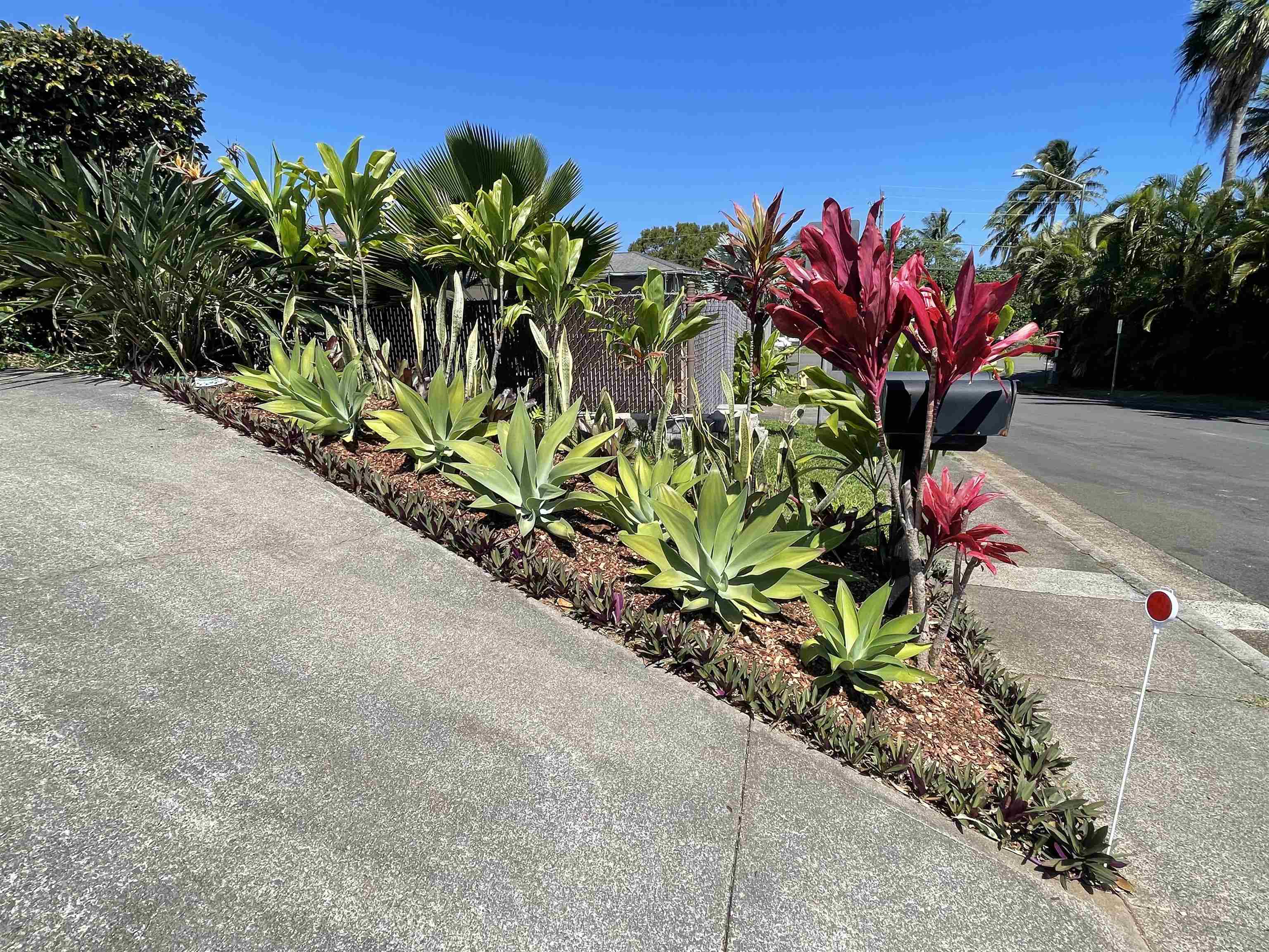 22 Hale Lio Place Haiku, HI 96708 - Photo 38 of 48 Main Entrance