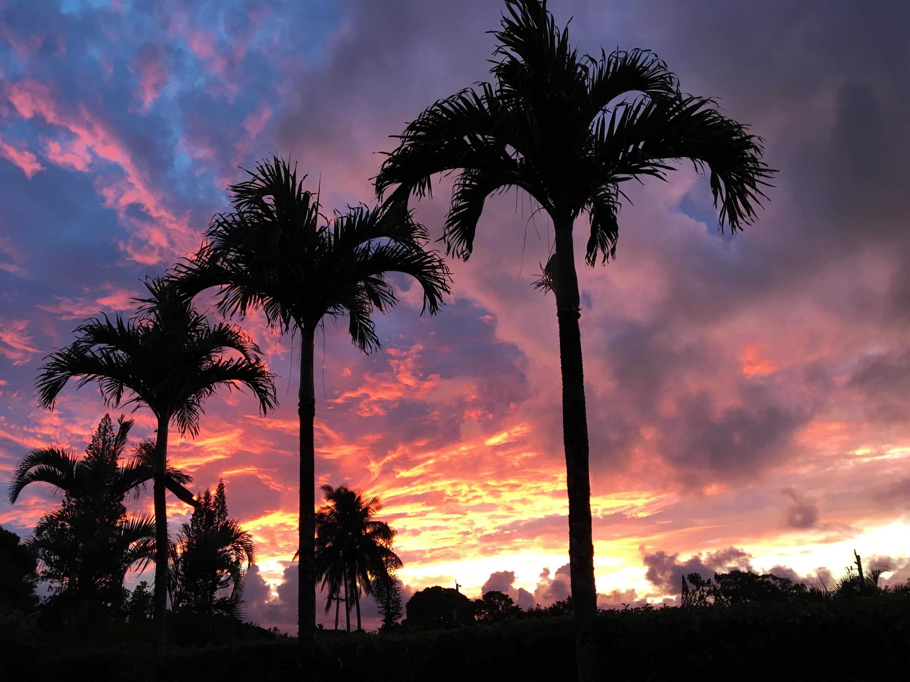 22 Hale Lio Place Haiku, HI 96708 - Photo 40 of 48 stunning sunsets