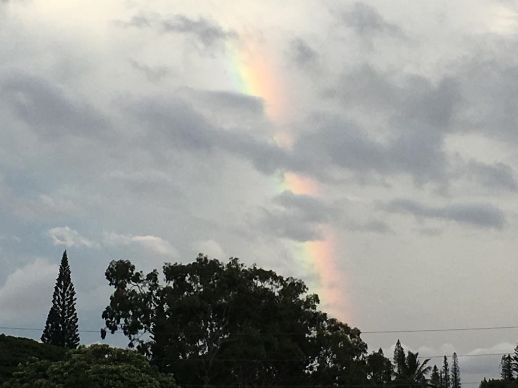 22 Hale Lio Place Haiku, HI 96708 - Photo 47 of 48