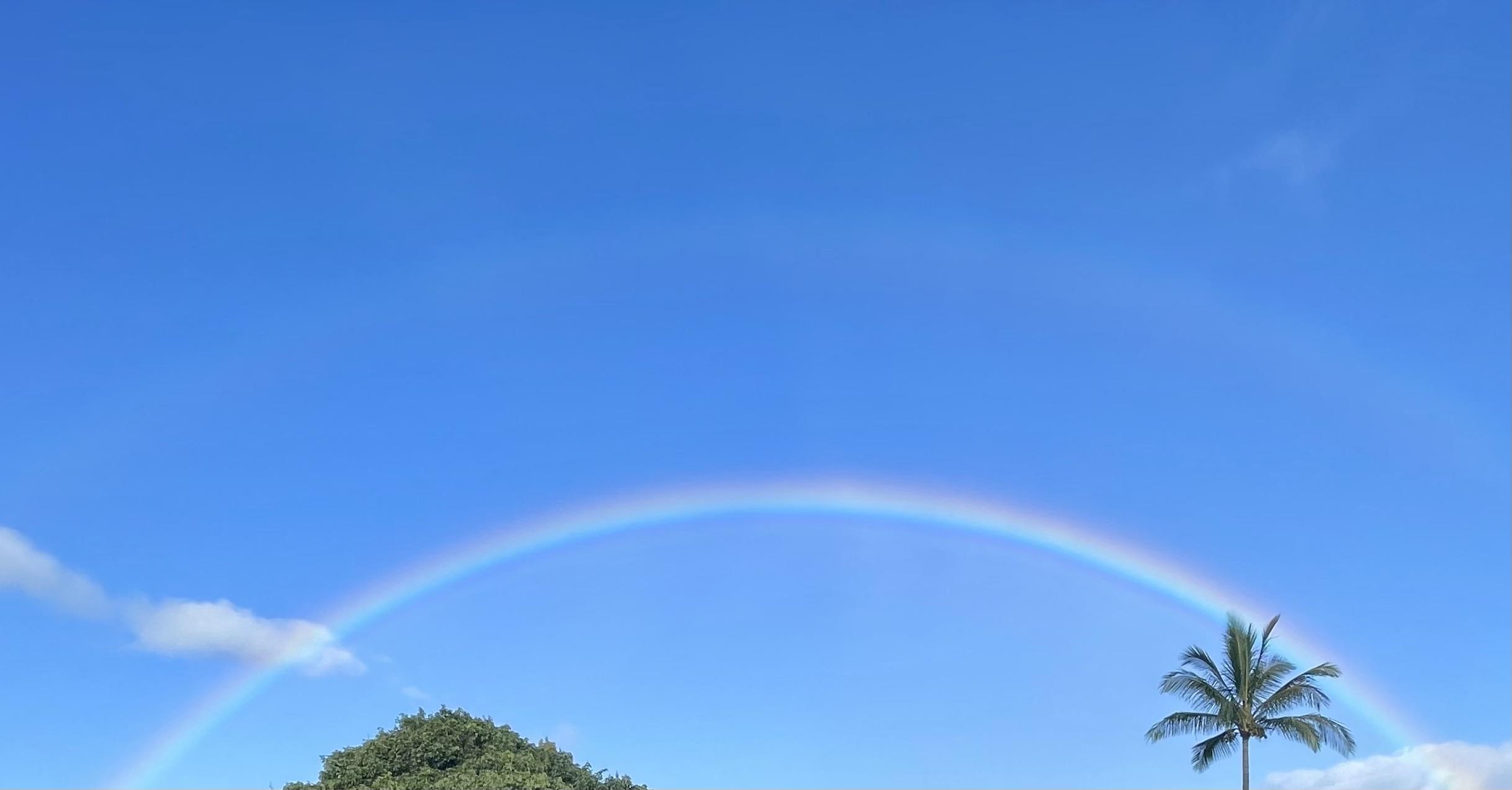 22 Hale Lio Place Haiku, HI 96708 - Photo 49 of 50 a view of an empty room