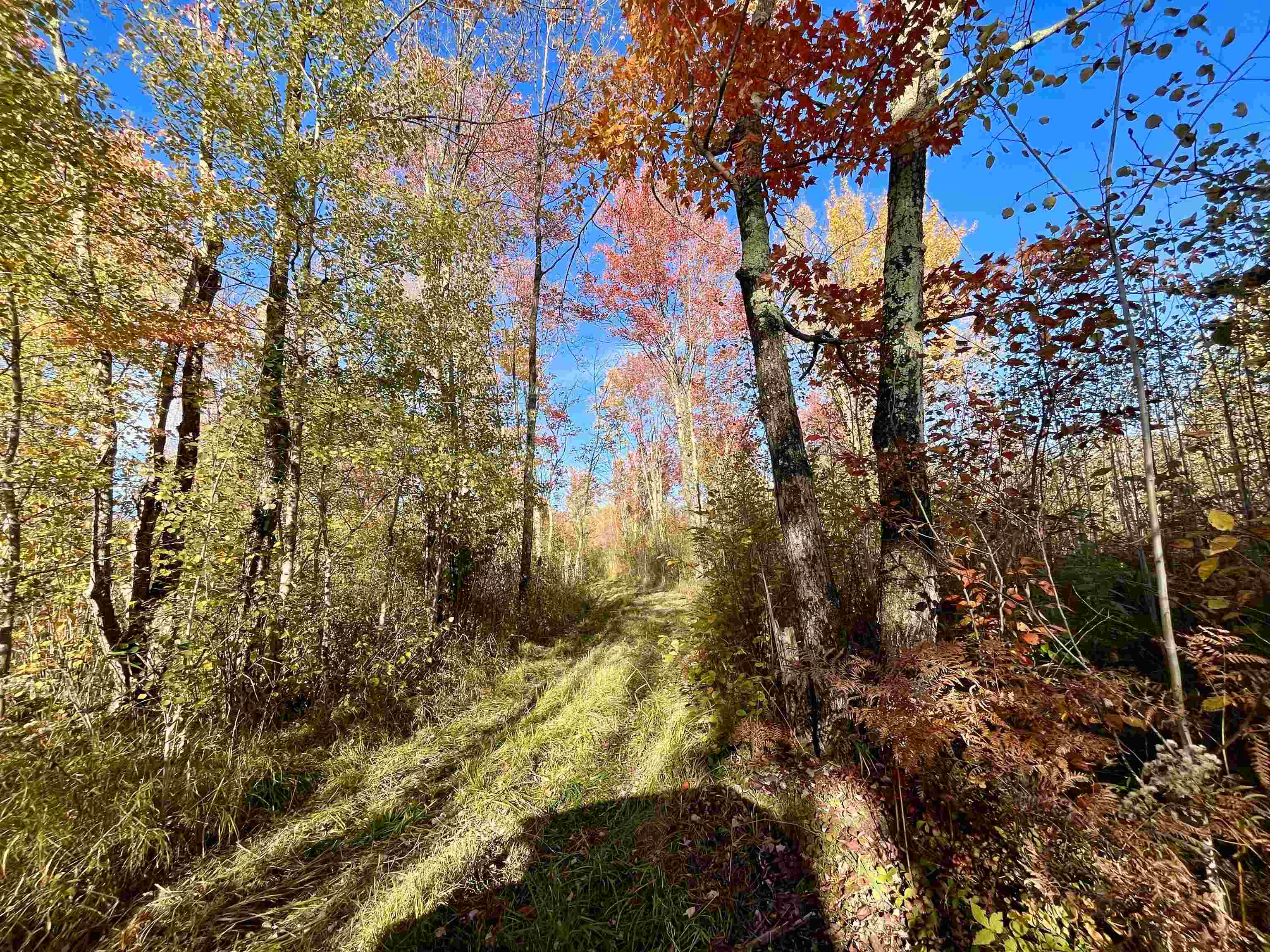 N5104 Pass Road Catawba, WI 54515 - Photo 15 of 31