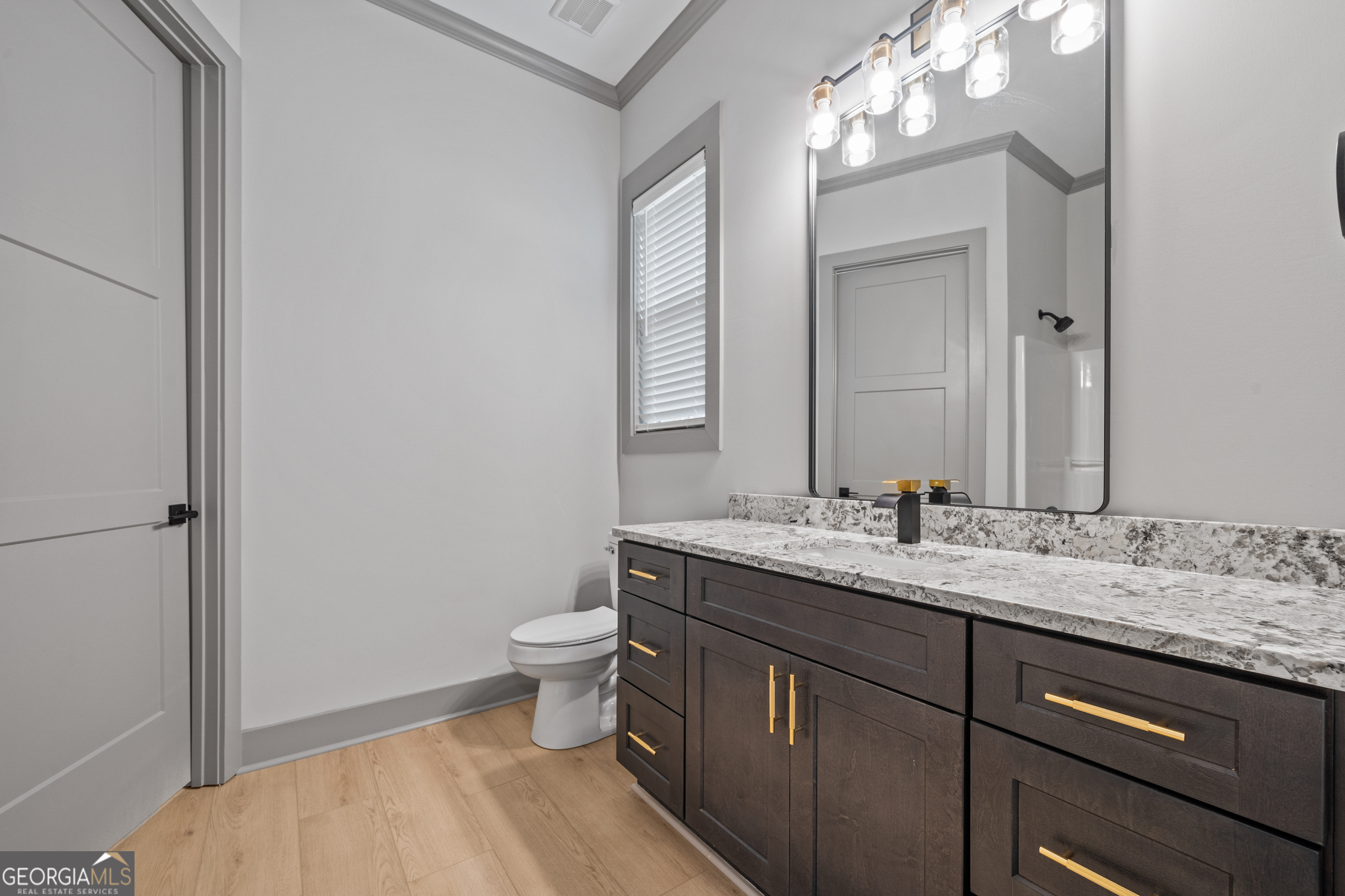 303 Tumbling Shoals Court Gray, GA 31032 - Photo 55 of 86 a bathroom with a granite countertop sink a toilet and a mirror