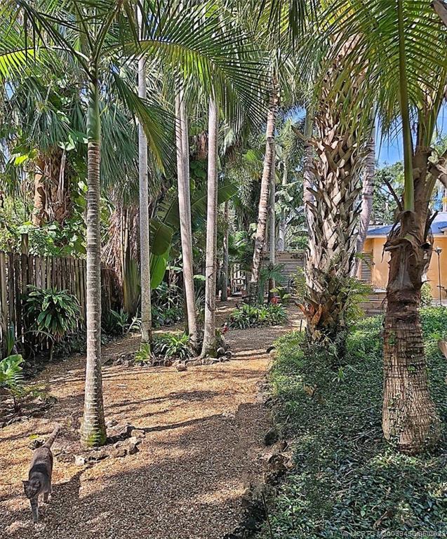 15 Miramar Road Stuart, FL 34996 - Photo 38 of 41 a view of a tree in front of a house