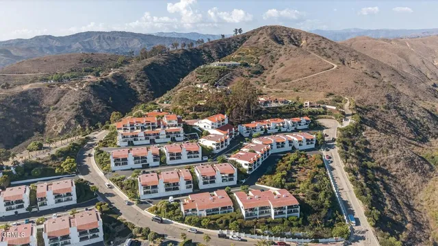a view of a backyard with tree