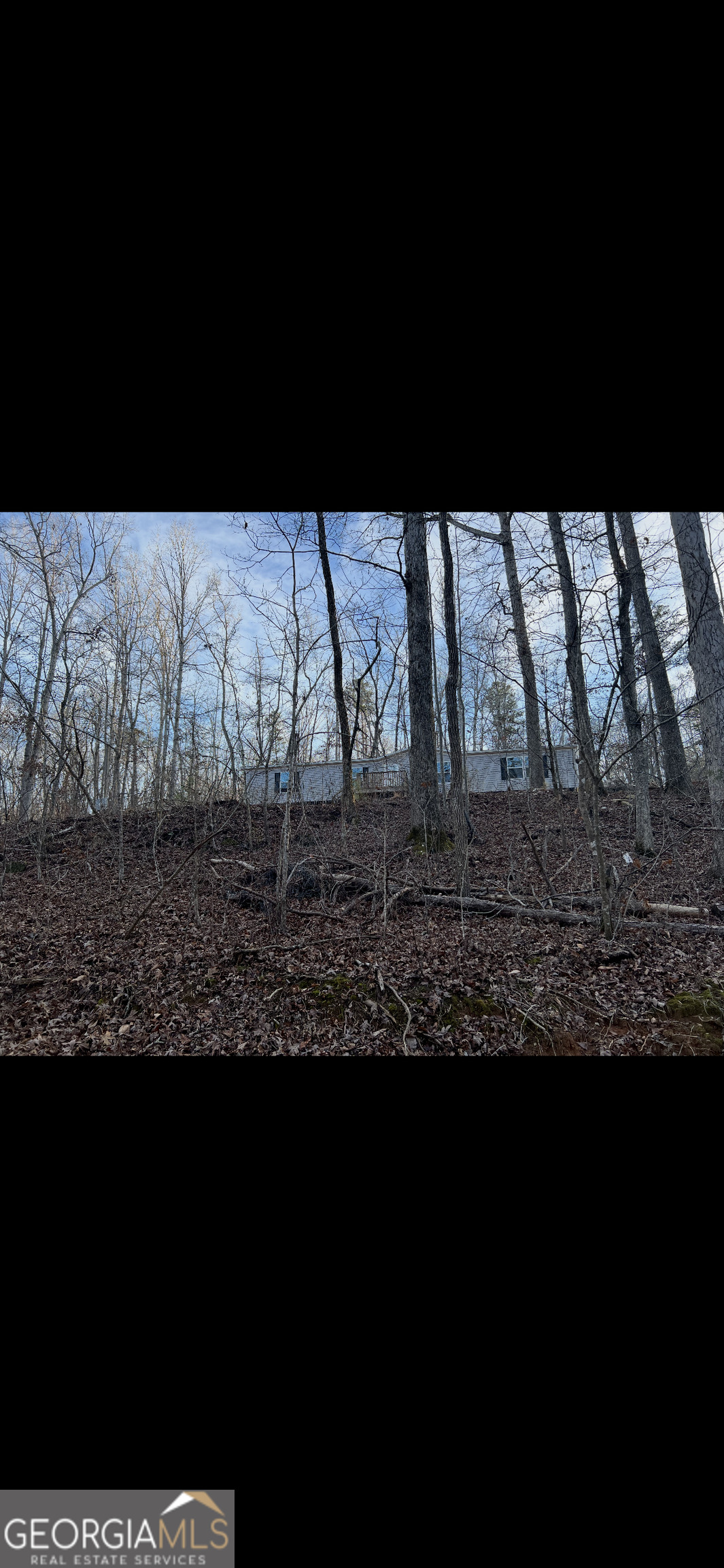 567 Suttles Road Martin, GA 30557 - Photo 3 of 16