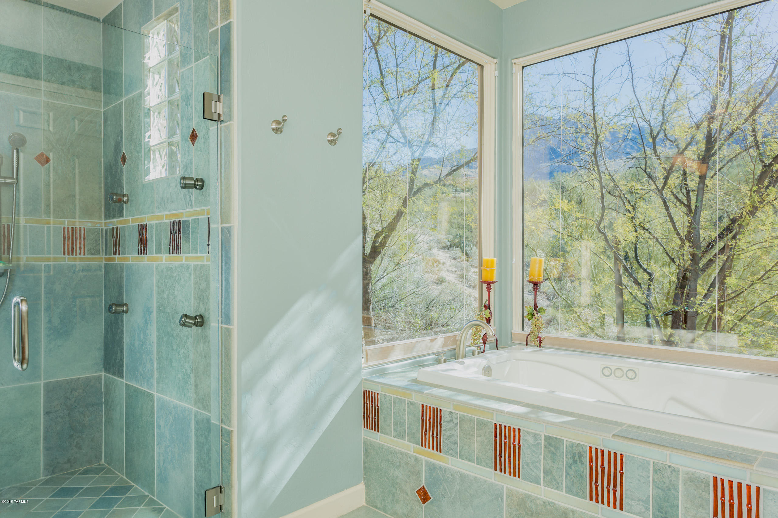 1630 East Buck Ridge Place Tucson, AZ 85737 - Photo 20 of 23
