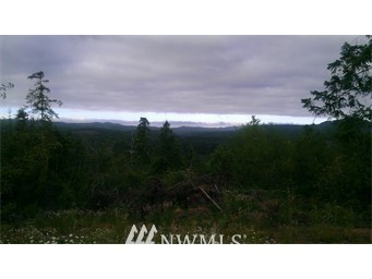 1 West Cloquallum Road Elma, WA 98541 - Photo 1 of 1 Gallery Image 1