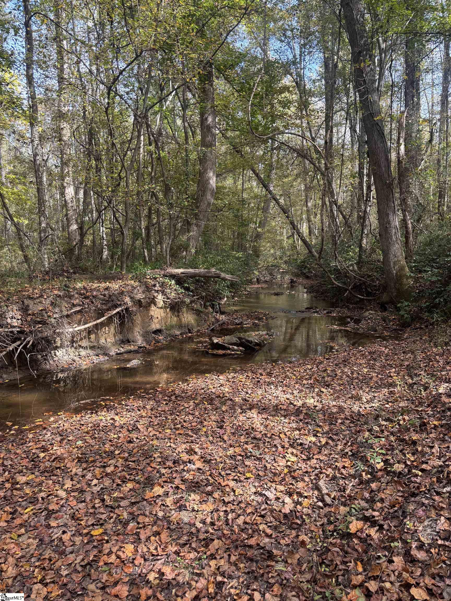 Motlow Creek Road Campobello, SC 29322 - Photo 11 of 11