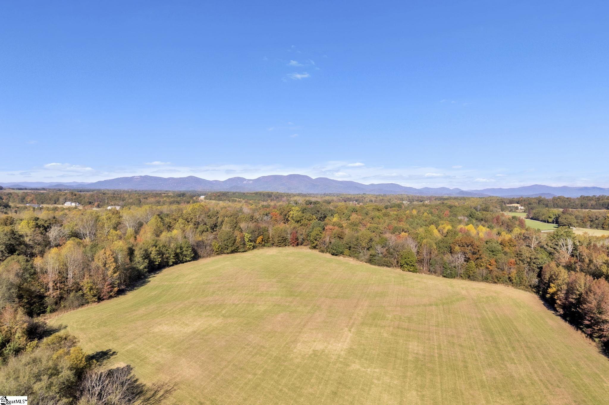 Motlow Creek Road Campobello, SC 29322 - Photo 2 of 11