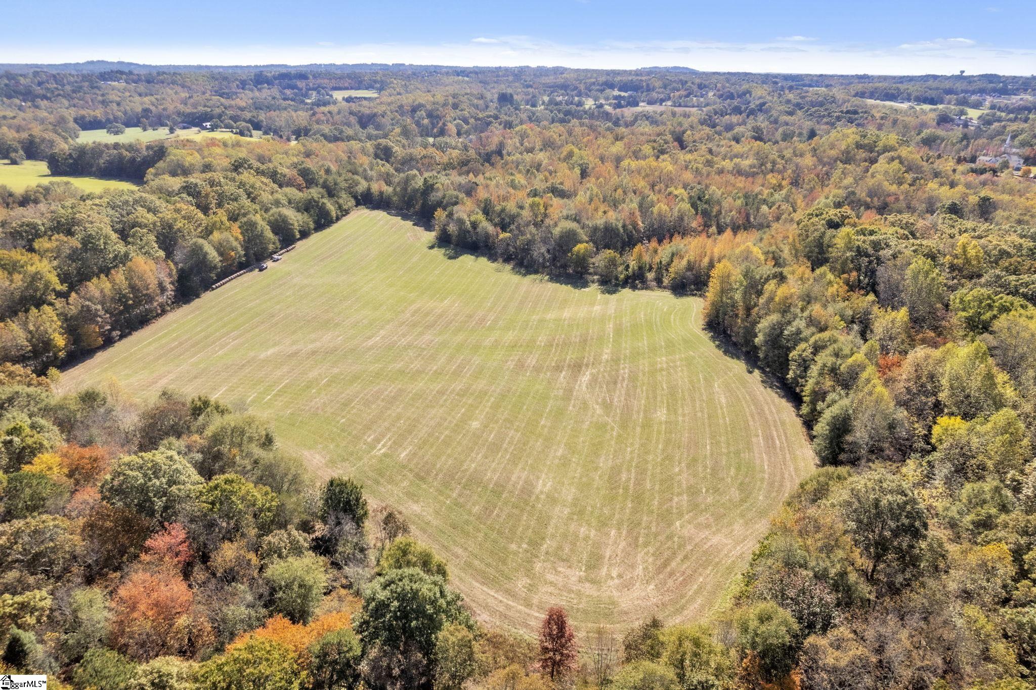 Motlow Creek Road Campobello, SC 29322 - Photo 3 of 11