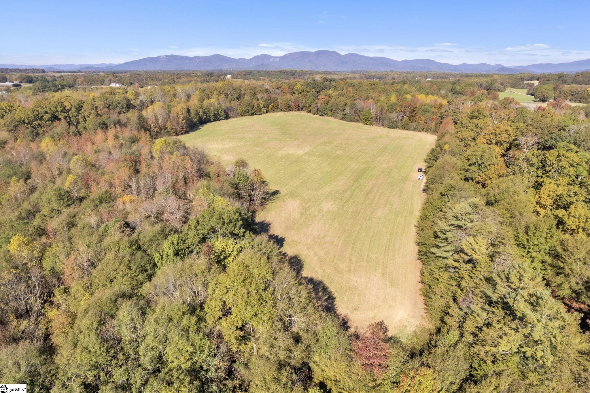 Motlow Creek Road Campobello, SC 29322 - Photo 4 of 11