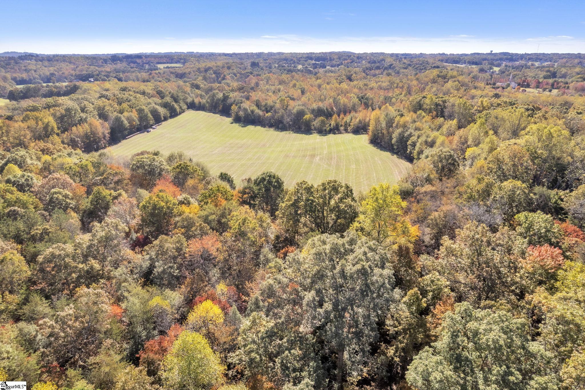 Motlow Creek Road Campobello, SC 29322 - Photo 5 of 11