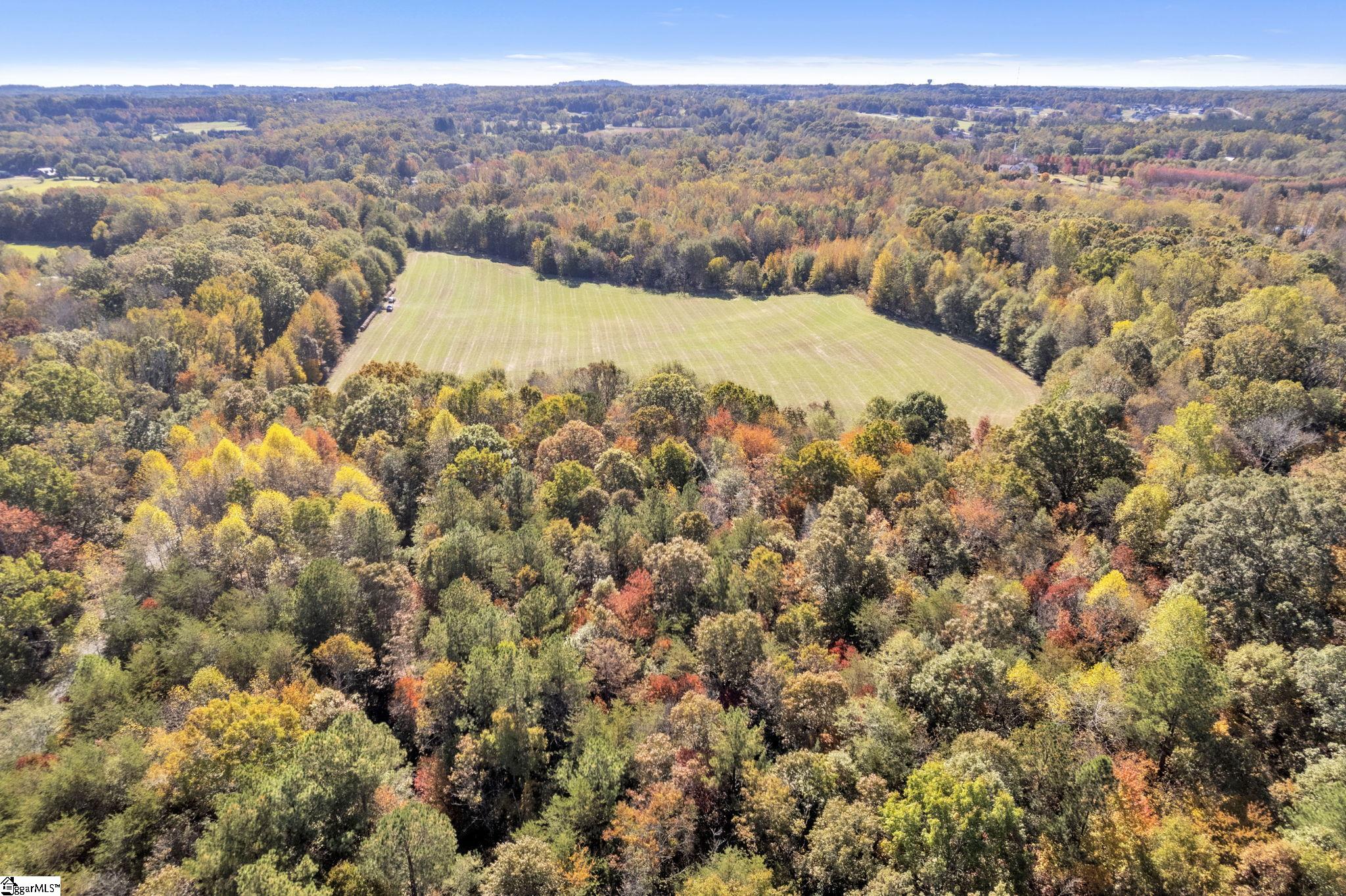 Motlow Creek Road Campobello, SC 29322 - Photo 6 of 11