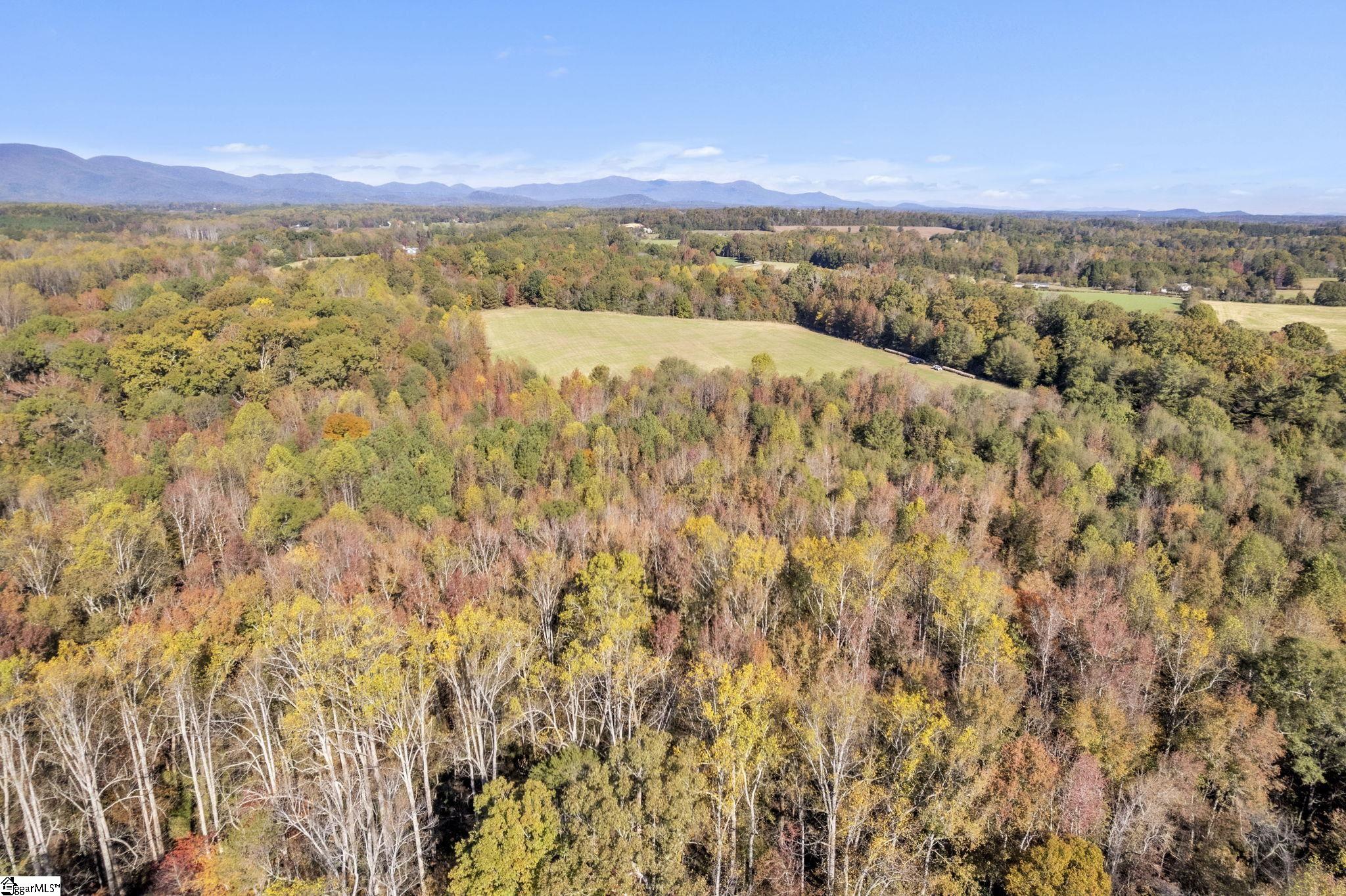 Motlow Creek Road Campobello, SC 29322 - Photo 8 of 11