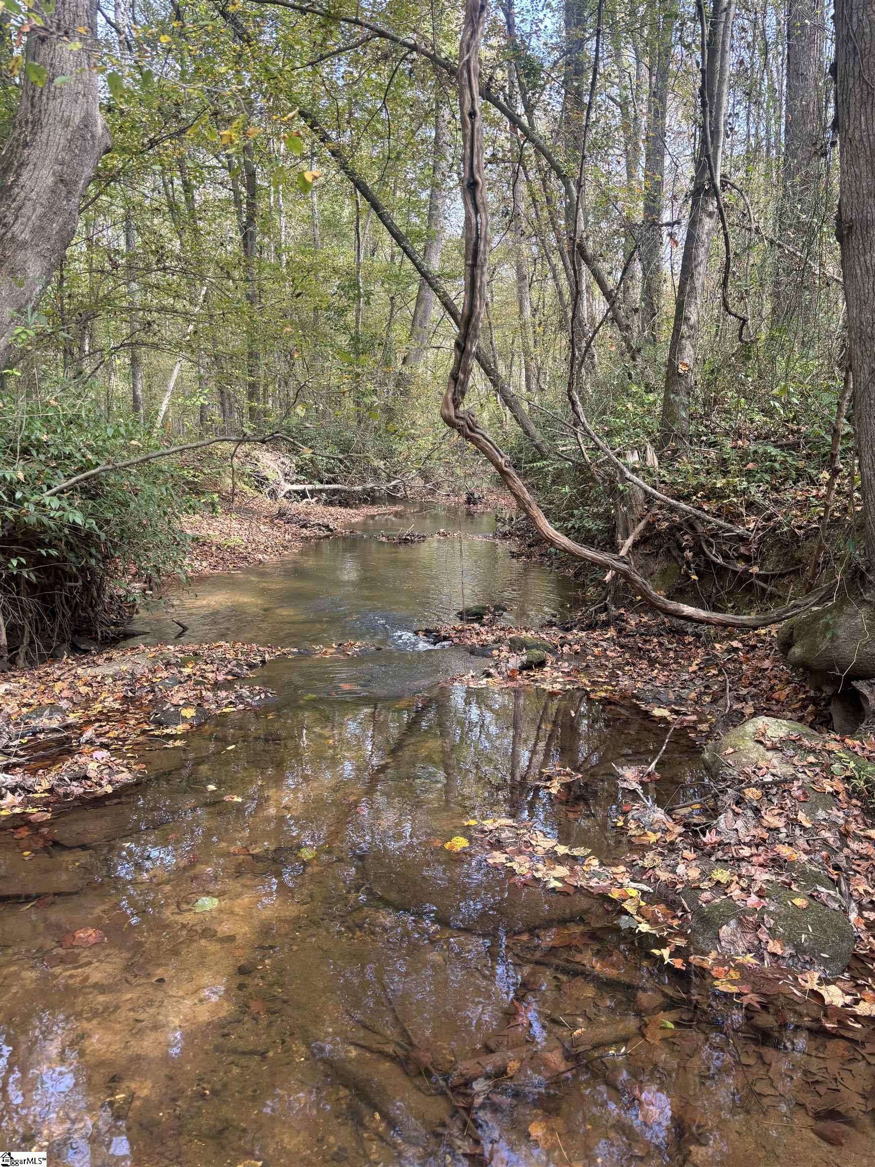 Motlow Creek Road Campobello, SC 29322 - Photo 9 of 11