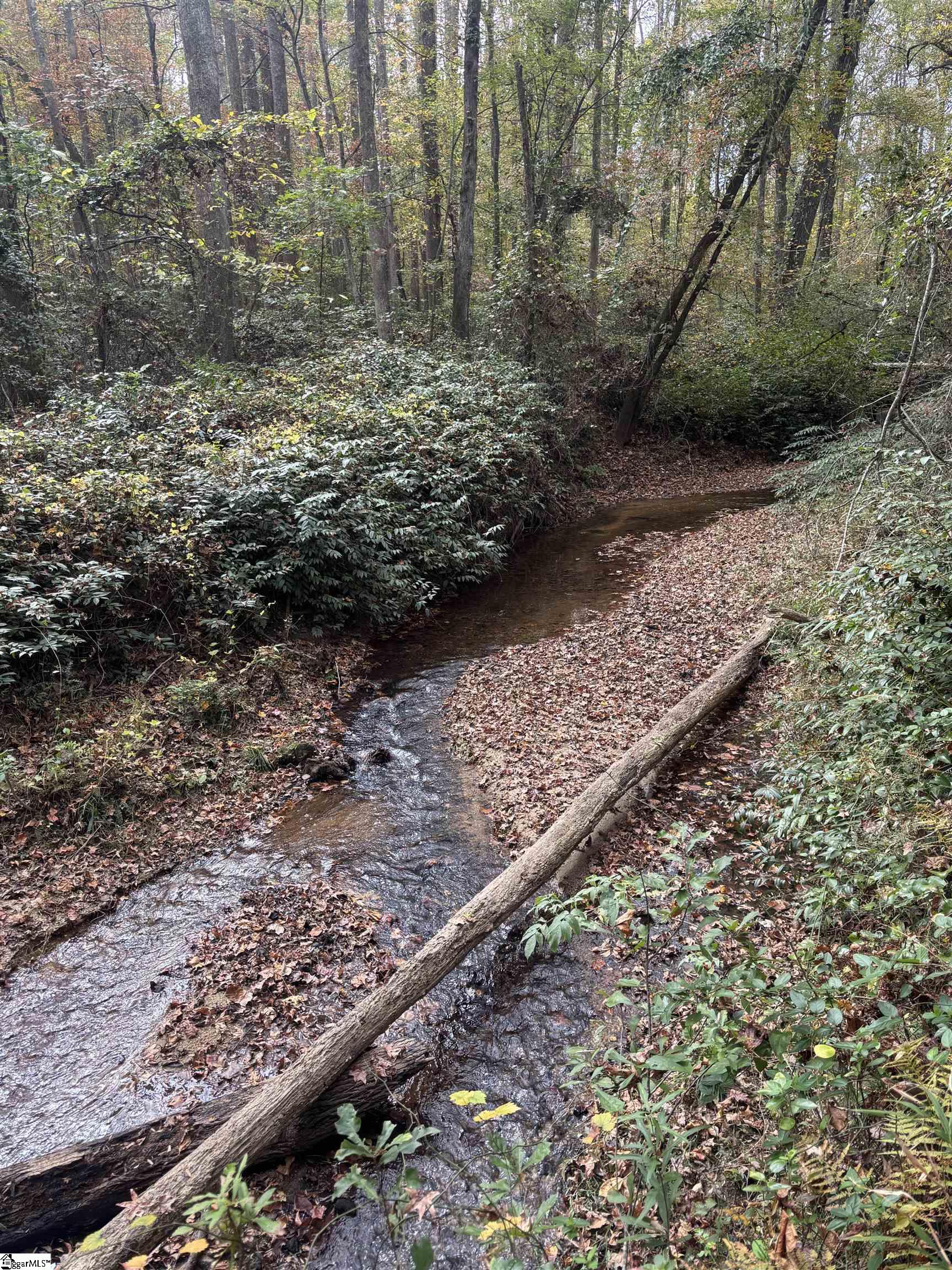 Motlow Creek Road Campobello, SC 29322 - Photo 10 of 11