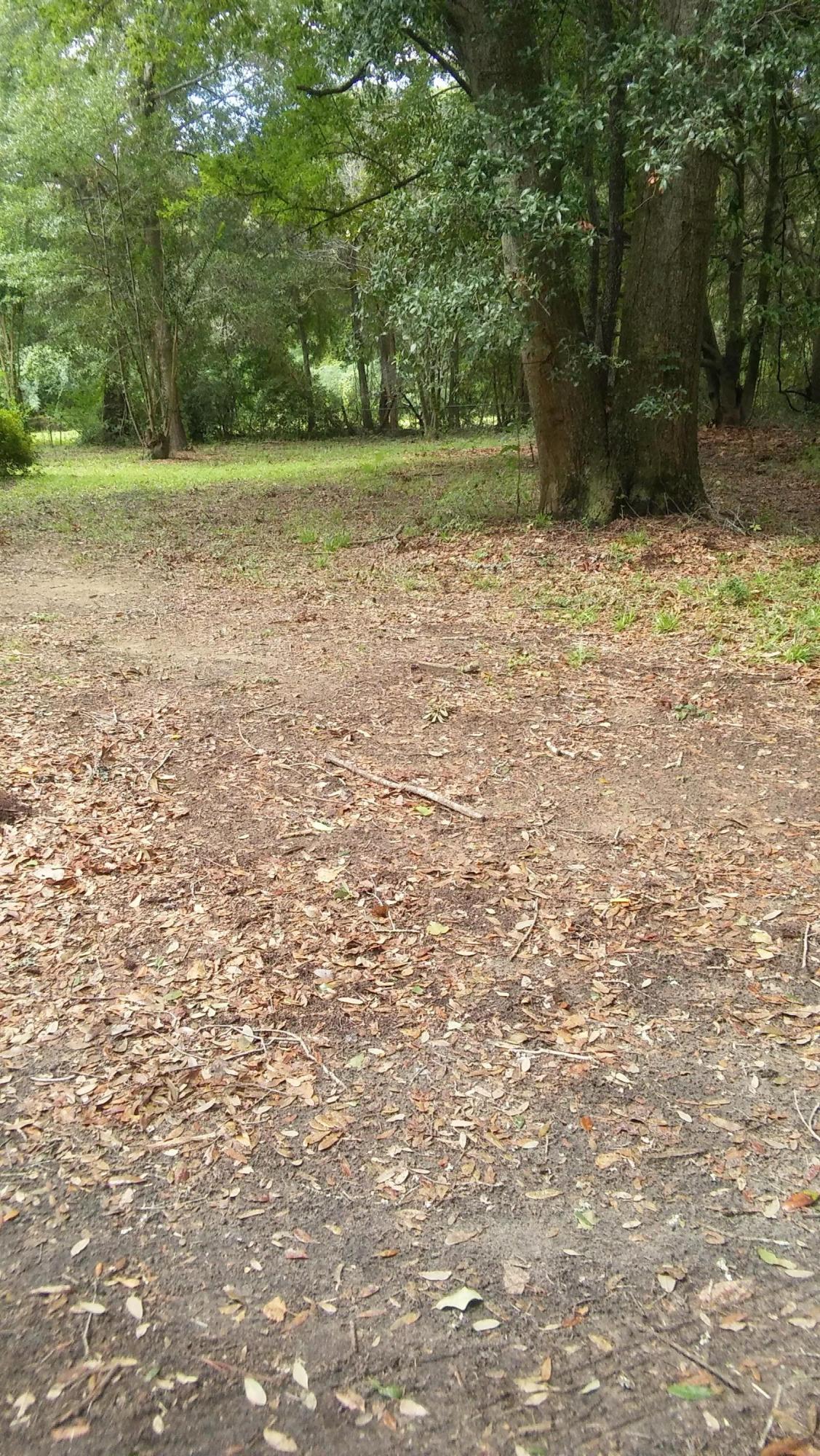 1149 Camp Road Charleston, SC 29412 - Photo 1 of 1 20160915_112351