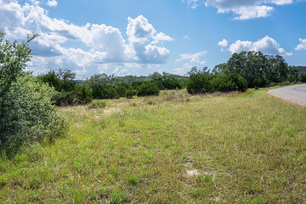 717 Bluff Ridge Trail, Unit 77 Blanco, TX 78606 - Photo 14 of 21