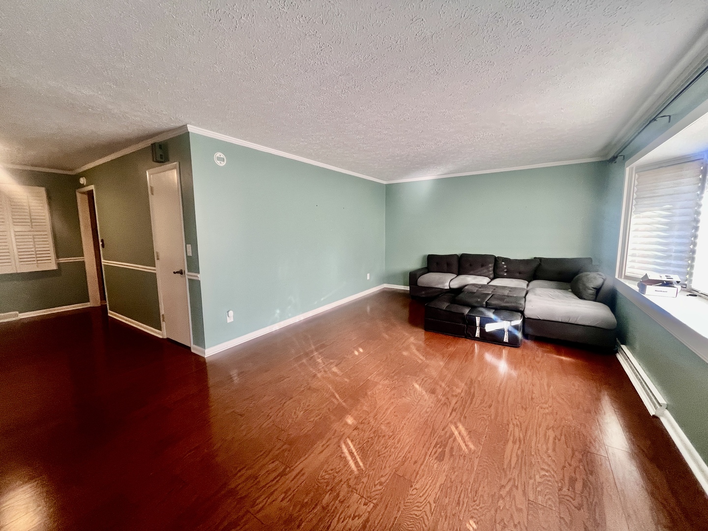 209 Baker Street Metropolis, IL 62960 - Photo 9 of 43 a living room with furniture and a wooden floor
