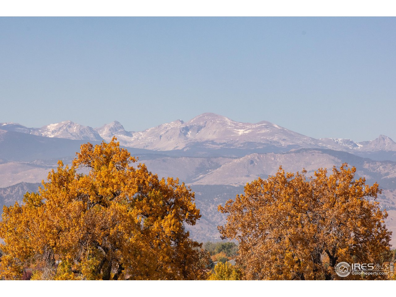909 Latigo Loop Lafayette, CO 80026 - Photo 3 of 16 a view of a dry yard