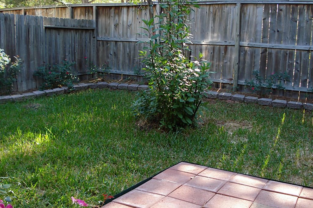 42 Blue Creek Place Spring, TX 77382 - Photo 18 of 18 a backyard of a house with lots of green space