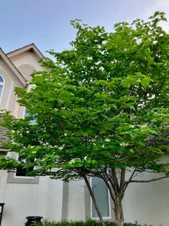 $490,000 | 18235 West 156th Street, Olathe, KS 66062