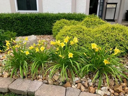 $490,000 | 18235 West 156th Street, Olathe, KS 66062